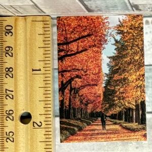 🌀10/$10🌀 Autumn Reusable Washi Sticker Decal